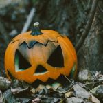 Pumpkin Pumpkin Jack Halloween Plant Calabaza Winter Squash 1666380 Pxhere.com Min 150x150